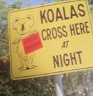 koalas cross sign