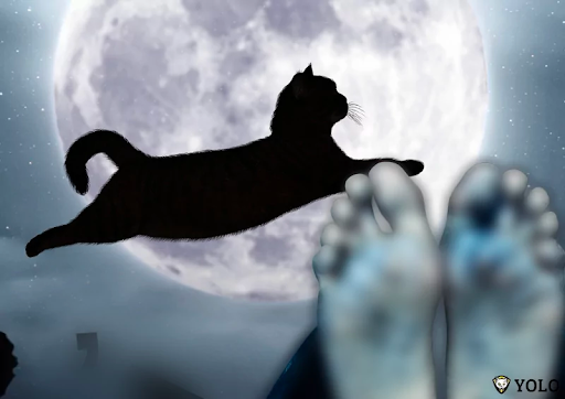 Mèo Đen Nhảy Qua Quan Tài: Bí Ẩn Tại Sao Chúng Là Đối Tượng Tâm Linh?